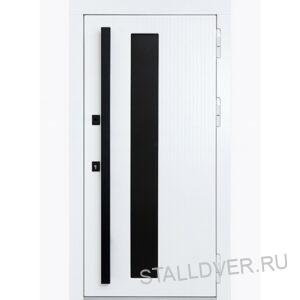 Дверь СТ-1036